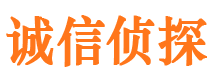 环翠外遇调查取证